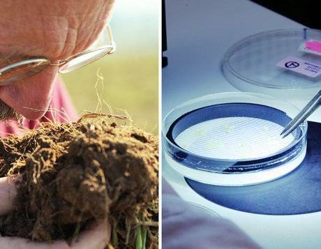 10 miliard - co máte na talíři?