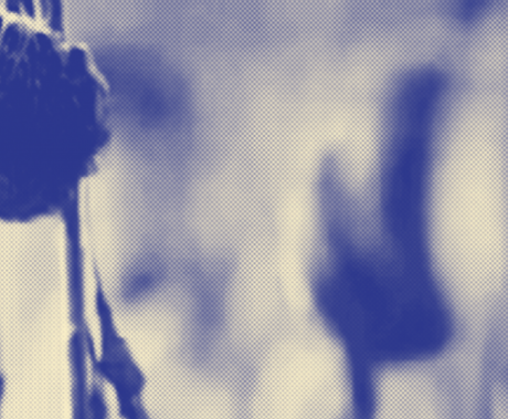 Krajina v tísni obrázek 12